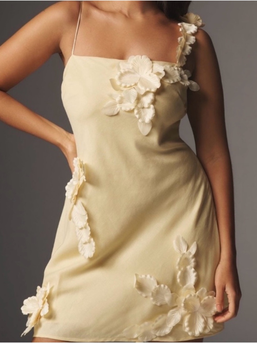 Hutch 3D Floral Appliqué
Linen Blend Mini Dress - Butter Yellow - Size
M